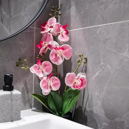 Belgrade Waterfront Cozy Symphony 2